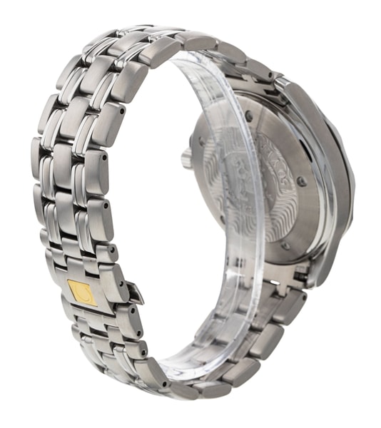 Omega Seamaster GMT 2534.50.00